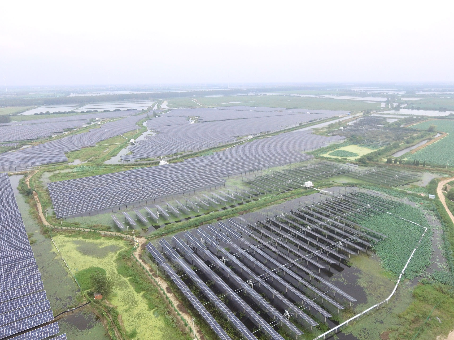 抖圈科技江苏扬州宝应光伏发电应用领跑基地2号100兆瓦项目